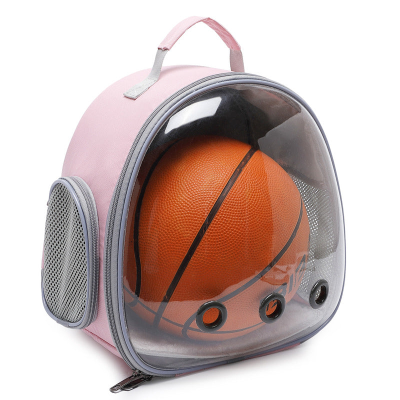 Transparent Small Animal Carrier