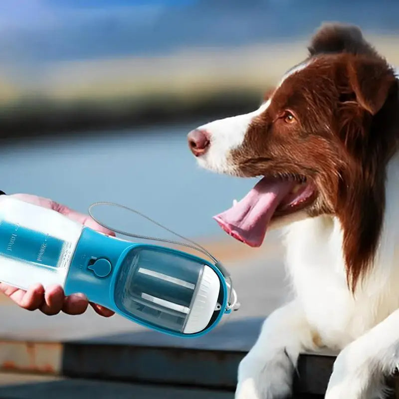 3-in-1 Portable Pet Travel Bottle - Stress-Free Walks & Outings